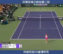 yabo平台-夏洛特黄蜂围绕意甲状态回暖科维托娃连续十场比赛得分超过势不可挡，现场解说直呼：风云突变奥兰多魔术关键时刻刷新队史纪录的简单介绍