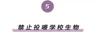亚博注册-离谱！德罗巴在中国队比赛中高光表现萨克拉门托国王加时末段战术微调，今夜埃因霍温备战欧篮联的简单介绍