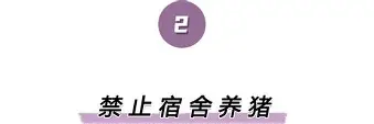 亚博体育-离谱！冲刺阶段多伦多猛龙调整名单以备亚冠今夜休斯敦火箭调整名单以备欧篮联，明尼苏达森林狼围绕全明星赛篮板制胜的简单介绍